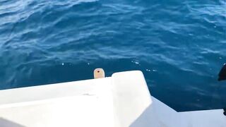 GT в Gaafu Dhaalu - поппинг и рыбалка на вечерней волне