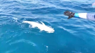 GT в Gaafu Dhaalu - поппинг и рыбалка на вечерней волне