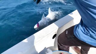 GT в Gaafu Dhaalu - поппинг и рыбалка на вечерней волне