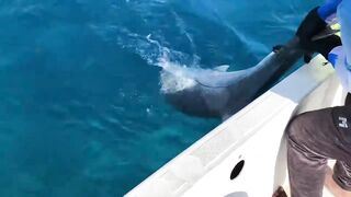 GT в Gaafu Dhaalu - поппинг и рыбалка на вечерней волне