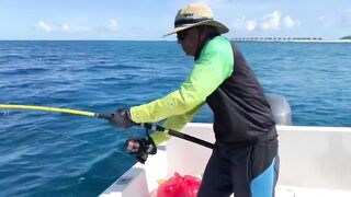 GT в Gaafu Dhaalu - поппинг и рыбалка на вечерней волне