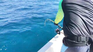 GT в Gaafu Dhaalu - поппинг и рыбалка на вечерней волне