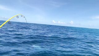 GT в Gaafu Dhaalu - поппинг и рыбалка на вечерней волне