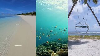 Морская рыбалка на Addu Atoll куда идти на рассвете с береговой снастью