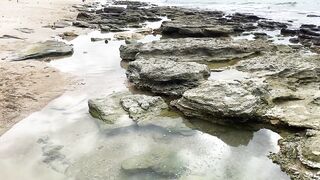 Netanya beach, Israel: находки у кромки прибоя и забытые приманки на песке
