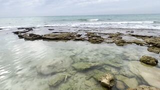 Netanya beach, Israel: находки у кромки прибоя и забытые приманки на песке