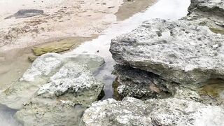 Netanya beach, Israel: находки у кромки прибоя и забытые приманки на песке