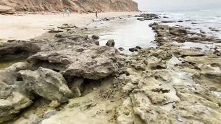 Netanya beach, Israel: находки у кромки прибоя и забытые приманки на песке