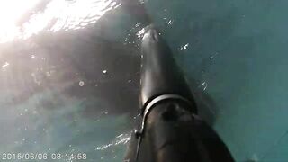 Netanya — подводная охота у свалов, видимость и течения