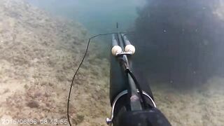 Netanya — подводная охота у свалов, видимость и течения