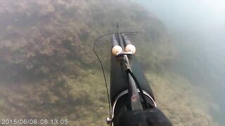 Netanya — подводная охота у свалов, видимость и течения