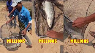 Tin Box Trap в Netanya Stream Израиль и почему сработала простая снасть