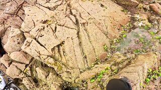 Mirleft, Morocco: морская рыбалка на сибасса со спиннингом на Атлантике