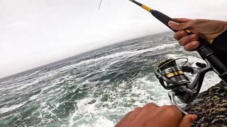 Mirleft, Morocco: морская рыбалка на сибасса со спиннингом на Атлантике