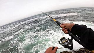 Mirleft, Morocco: морская рыбалка на сибасса со спиннингом на Атлантике