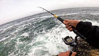 Mirleft, Morocco: морская рыбалка на сибасса со спиннингом на Атлантике