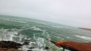 Mirleft Марокко ловля дорады и сибасса спиннингом у каменного плато