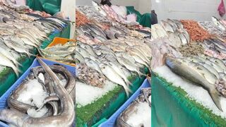 Mirleft Seafood Market Марокко и что берут после удачного утра