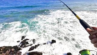 Mirleft спиннинг по spotted seabass и рабочие приманки на прибойной кромке