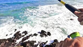 Mirleft спиннинг по spotted seabass и рабочие приманки на прибойной кромке