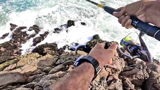 Mirleft спиннинг по spotted seabass и рабочие приманки на прибойной кромке