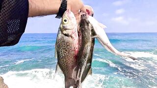 Mirleft спиннинг по spotted seabass и рабочие приманки на прибойной кромке