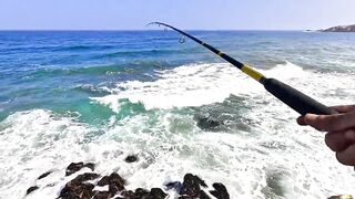 Mirleft спиннинг по spotted seabass и рабочие приманки на прибойной кромке