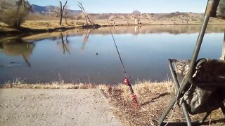 Fishing with Tantan — берег, приманки и первые поклевки