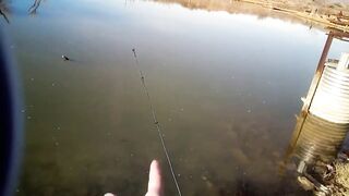 Fishing with Tantan — берег, приманки и первые поклевки