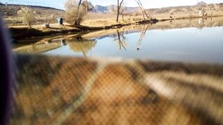 Fishing with Tantan — берег, приманки и первые поклевки