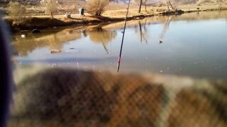 Fishing with Tantan — берег, приманки и первые поклевки