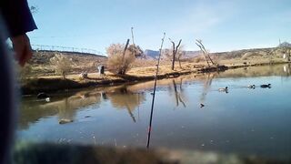 Fishing with Tantan — берег, приманки и первые поклевки