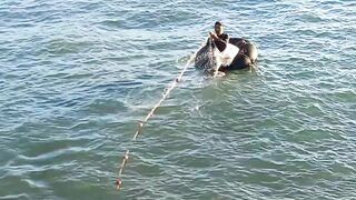 Тарфая, Марокко – береговой лов и солёный ветер атлантики