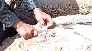 Тарфая, Марокко – береговой лов и солёный ветер атлантики