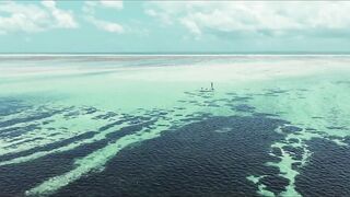 Cosmoledo Atoll: морская рыбалка на мушку и почему здесь всё по-другому