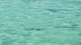 Cosmoledo Atoll: морская рыбалка на мушку и почему здесь всё по-другому