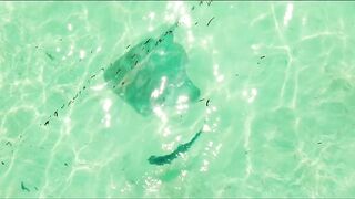 Cosmoledo Atoll: морская рыбалка на мушку и почему здесь всё по-другому