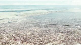 Cosmoledo Atoll: морская рыбалка на мушку и почему здесь всё по-другому