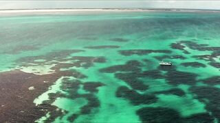 Cosmoledo Atoll: морская рыбалка на мушку и почему здесь всё по-другому