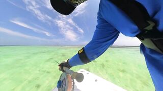 Cosmoledo GT Fly: морская рыбалка на мушку по крупному гигасу