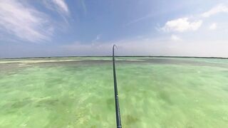 Cosmoledo GT Fly: морская рыбалка на мушку по крупному гигасу