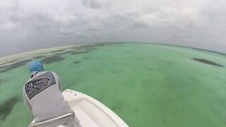 Cosmoledo GT Fly: морская рыбалка на мушку по крупному гигасу