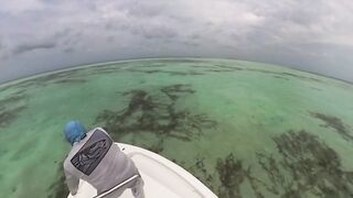 Cosmoledo GT Fly: морская рыбалка на мушку по крупному гигасу