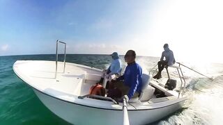 Cosmoledo GT Fly: морская рыбалка на мушку по крупному гигасу