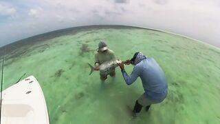 Cosmoledo GT Fly: морская рыбалка на мушку по крупному гигасу