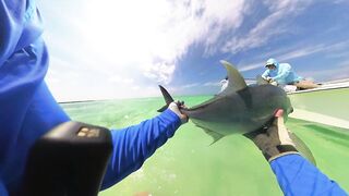 Cosmoledo GT Fly: морская рыбалка на мушку по крупному гигасу