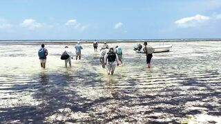 Cosmoledo GT Fly: морская рыбалка на мушку по крупному гигасу