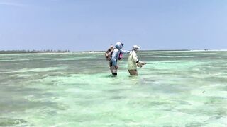 Cosmoledo GT Fly: морская рыбалка на мушку по крупному гигасу