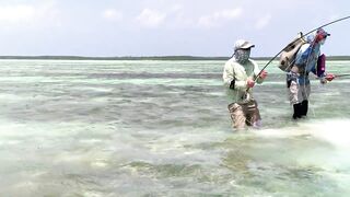 Cosmoledo GT Fly: морская рыбалка на мушку по крупному гигасу