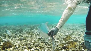 Cosmoledo: охота за GT — как готовят снасти на атолле